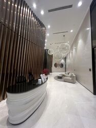 Cairnhill Nine (D9), Apartment #462660401